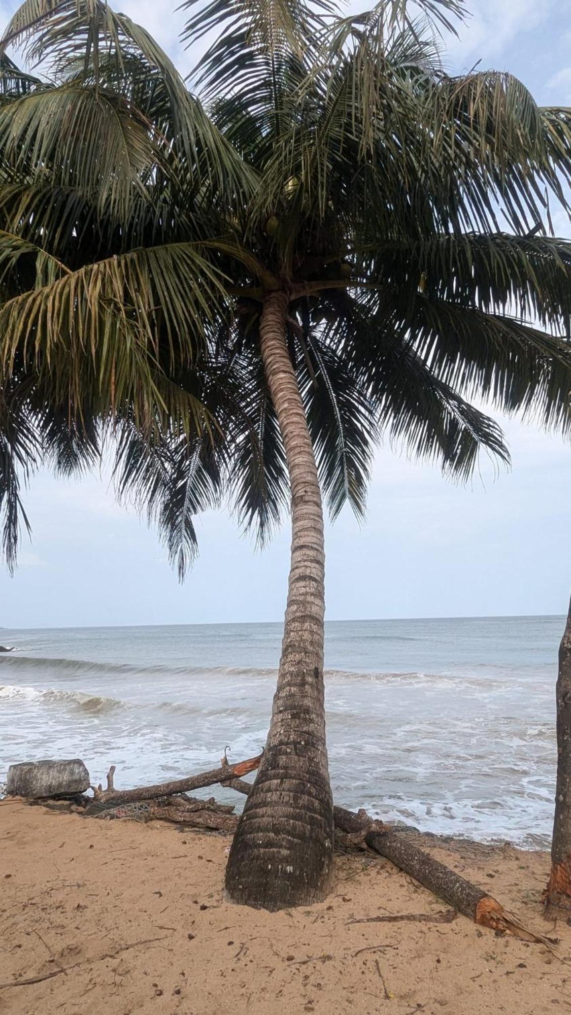 Chandi Gaya Beach Guesthouse Tangalle Exterior photo